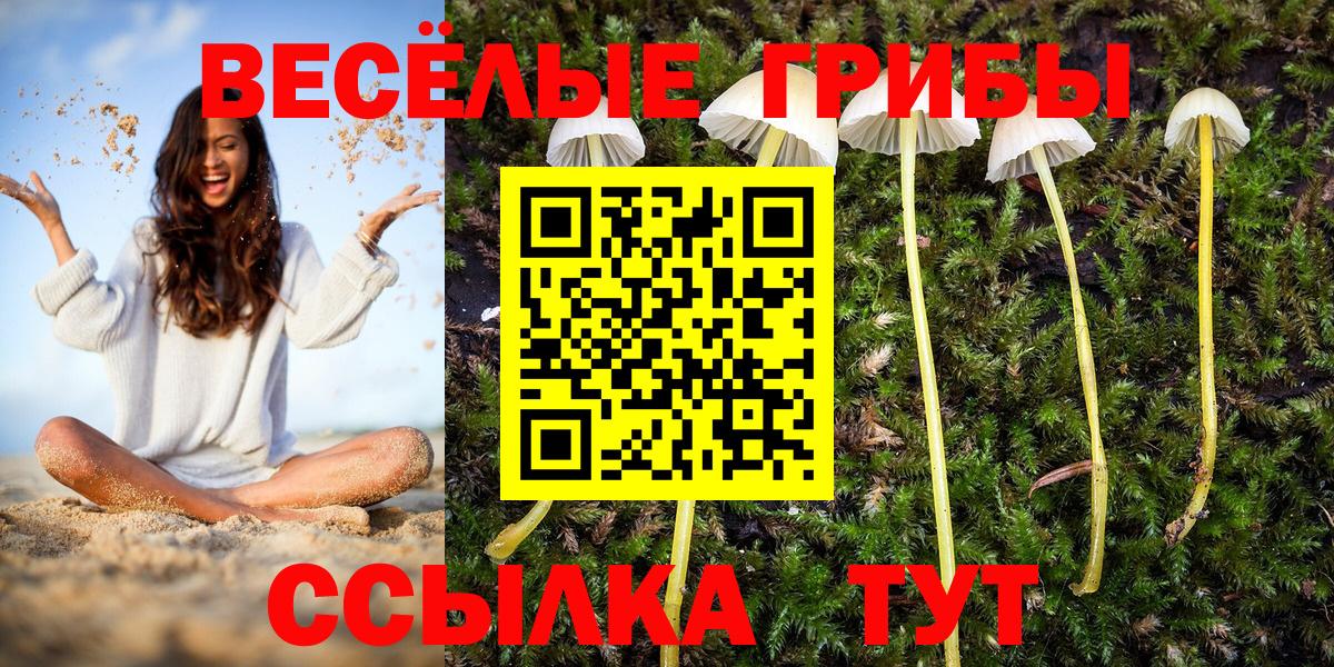 Галлюциногенные грибы GOLDEN TEACHER  Вход с VPN  Котельники 