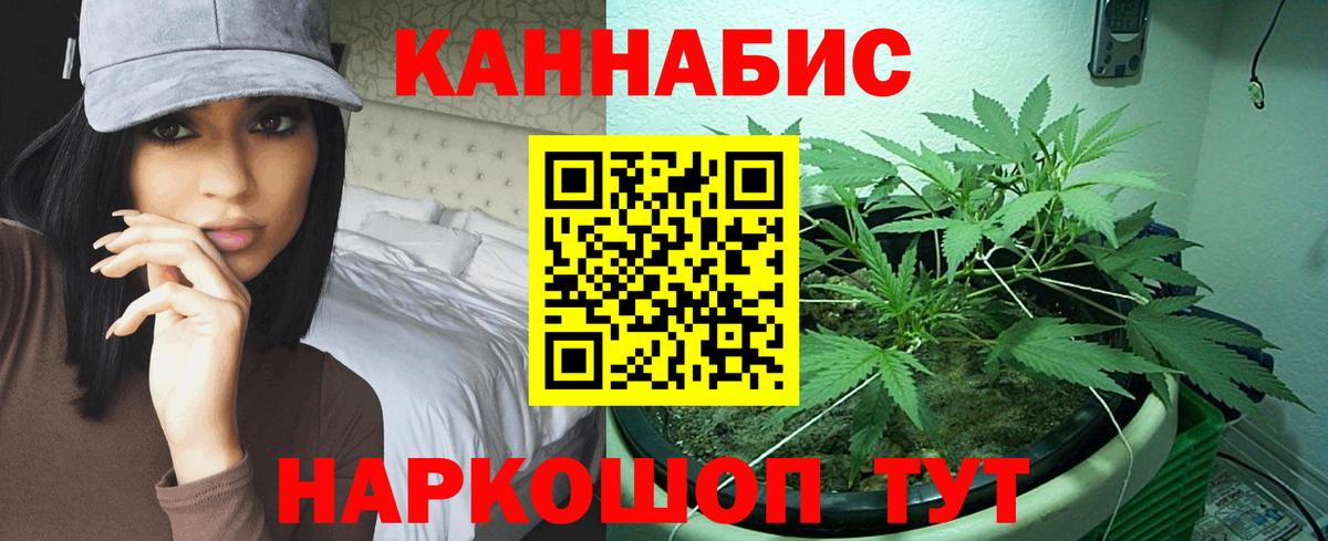 Канабис сатива  Канабис планчик  Вход с VPN  Котельники  Марихуана марихуана 
